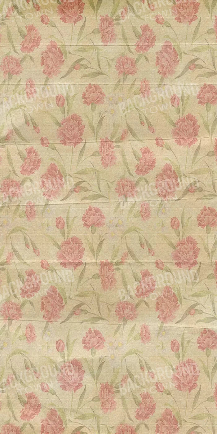 May 10X20 Ultracloth ( 120 X 240 Inch ) Backdrop