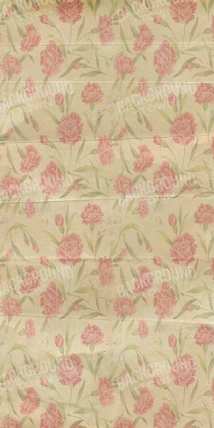 May 10X20 Ultracloth ( 120 X 240 Inch ) Backdrop