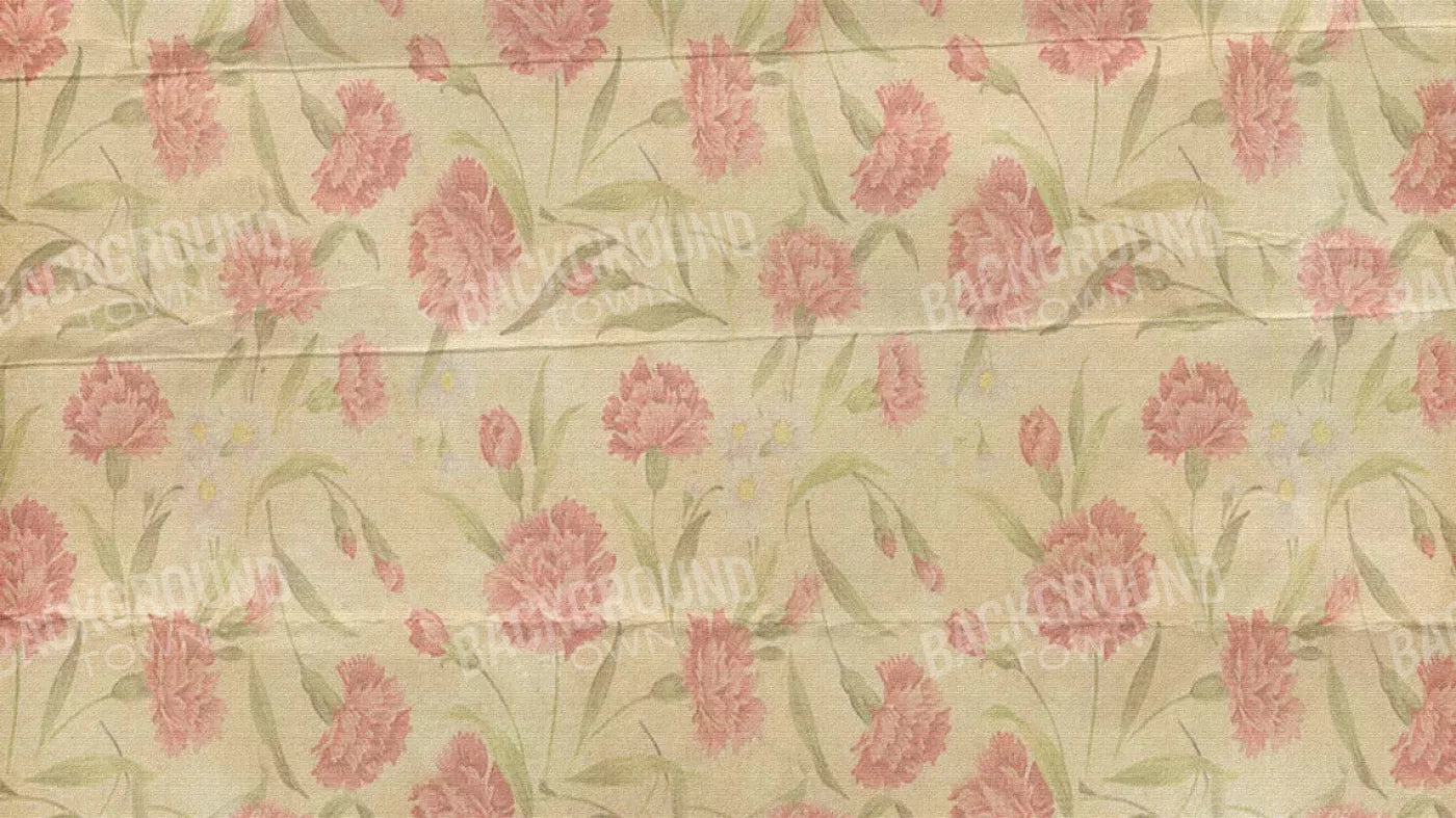 May 14X8 Ultracloth ( 168 X 96 Inch ) Backdrop