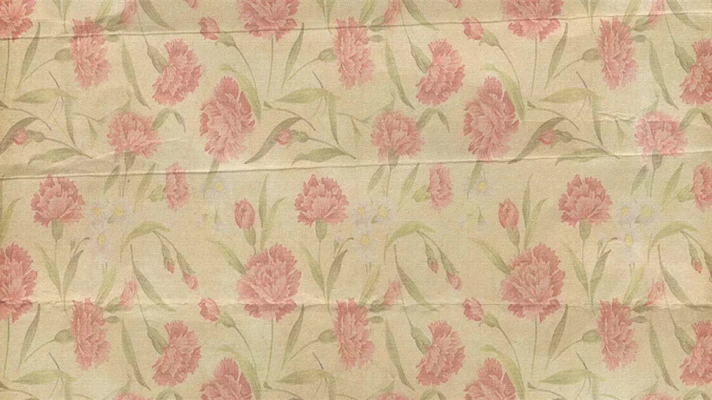 May 14X8 Ultracloth ( 168 X 96 Inch ) Backdrop