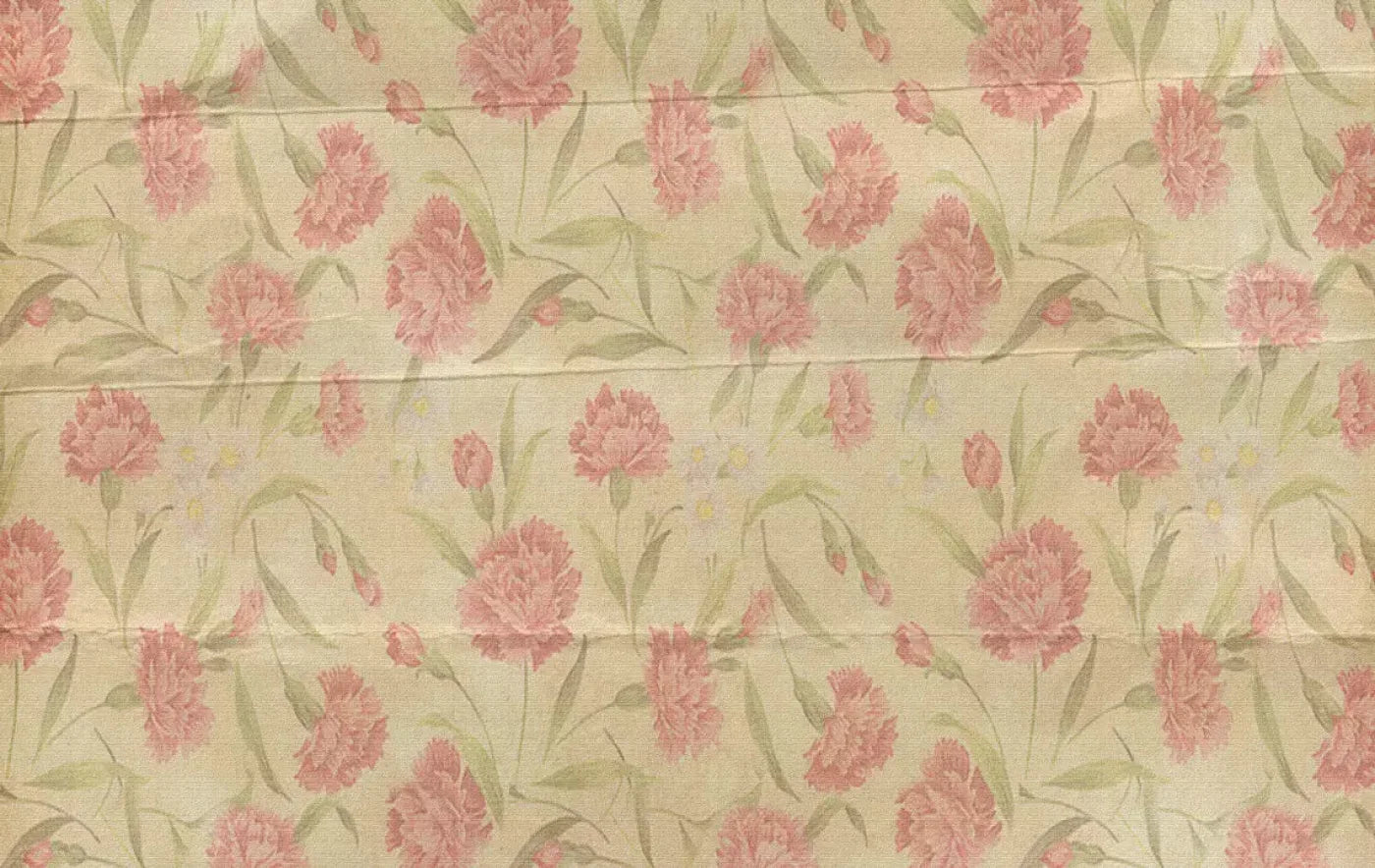May 16X10 Ultracloth ( 192 X 120 Inch ) Backdrop