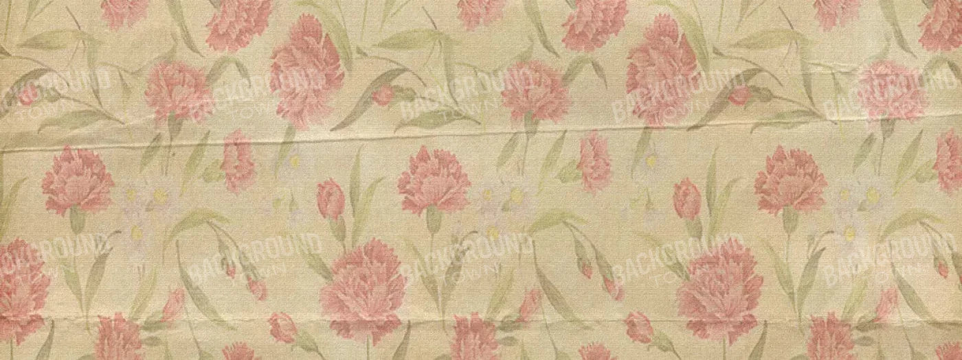 May 20X8 Ultracloth ( 240 X 96 Inch ) Backdrop