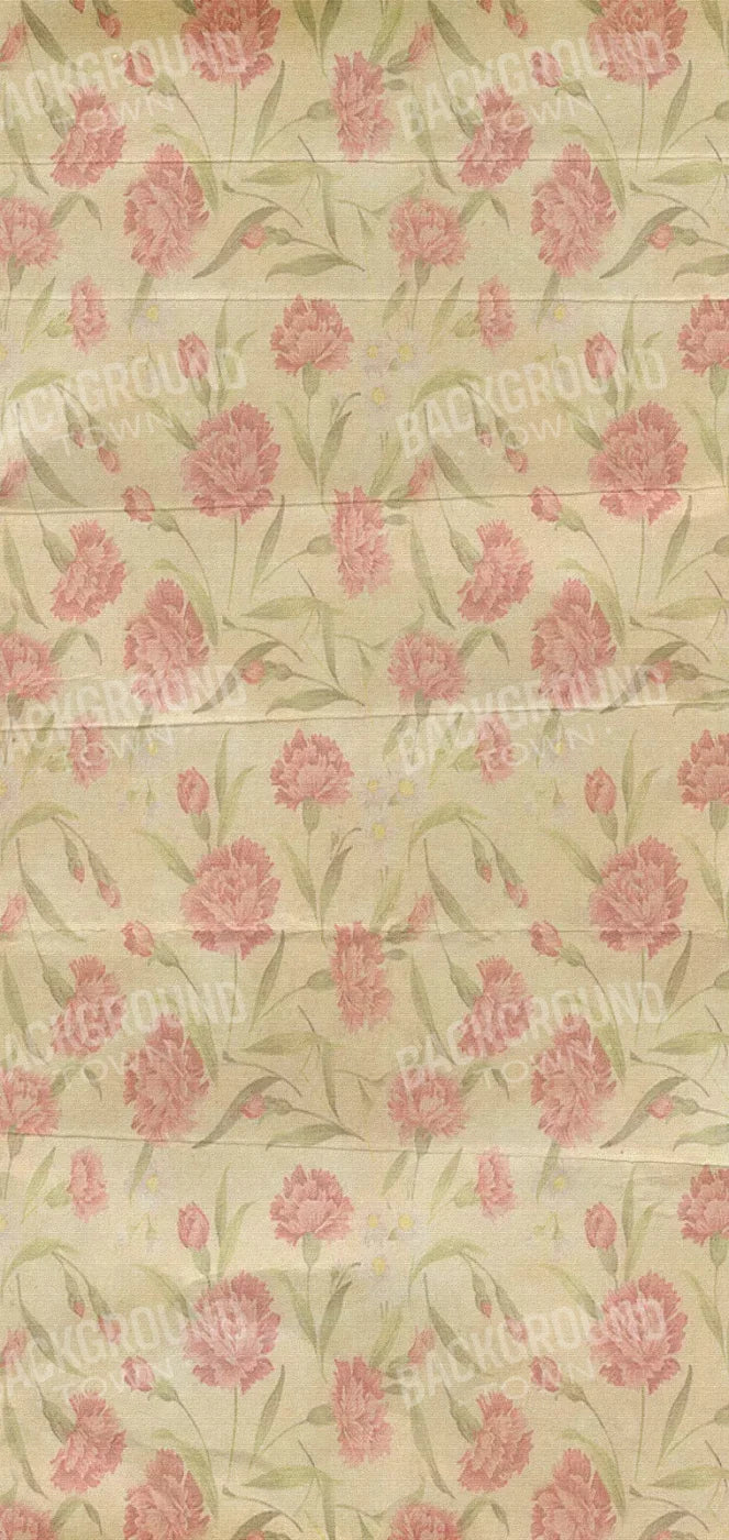 May 8X16 Ultracloth ( 96 X 192 Inch ) Backdrop