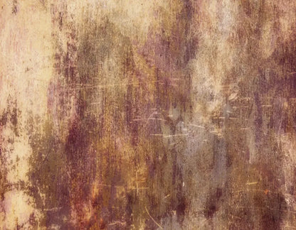 Meadowlark 8X6 Fleece ( 96 X 72 Inch ) Backdrop