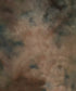 Brown Classic and Masters Backdrop for Photography