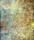 Multi-Color Urban Grunge Backdrop for Photography