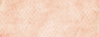 Megan 20X8 Ultracloth ( 240 X 96 Inch ) Backdrop