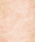 Pink Textured Backdrop for Photography