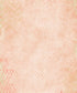 Pink Textured Backdrop for Photography