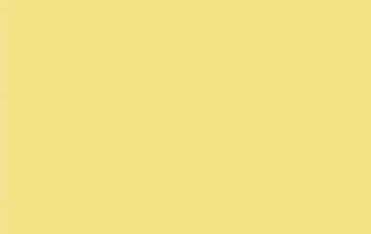 Mellow Yellow 16X10 Ultracloth ( 192 X 120 Inch ) Backdrop