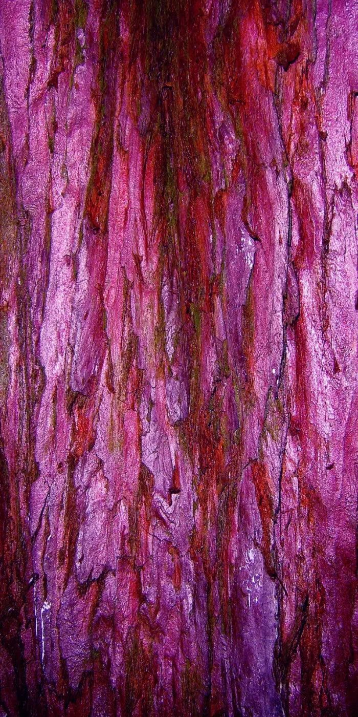 Membraine 10’X20’ Ultracloth (120 X 240 Inch) Backdrop