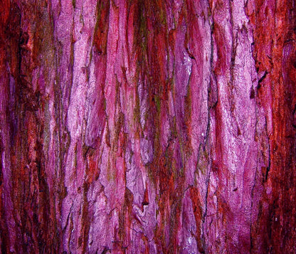 Membraine 12’X10’ Ultracloth (144 X 120 Inch) Backdrop