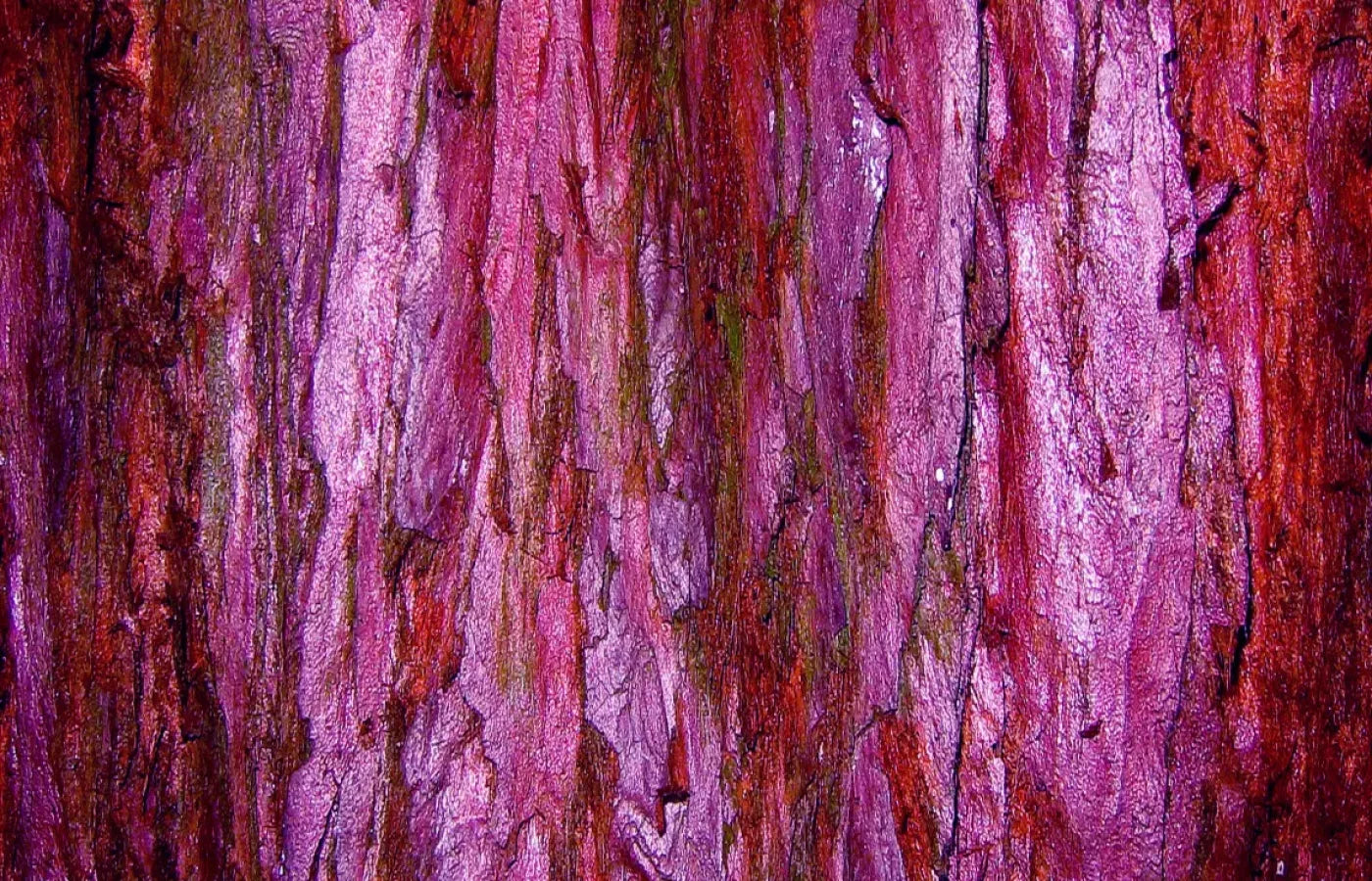 Membraine 12’X8’ Ultracloth (144 X 96 Inch) Backdrop