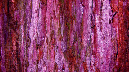 Membraine 14’X8’ Ultracloth (168 X 96 Inch) Backdrop