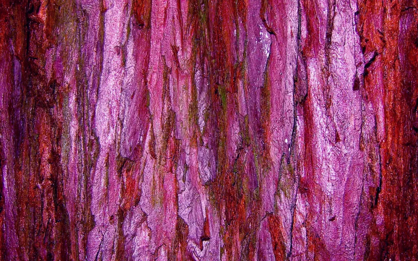 Membraine 14’X9’ Ultracloth (168 X 108 Inch) Backdrop