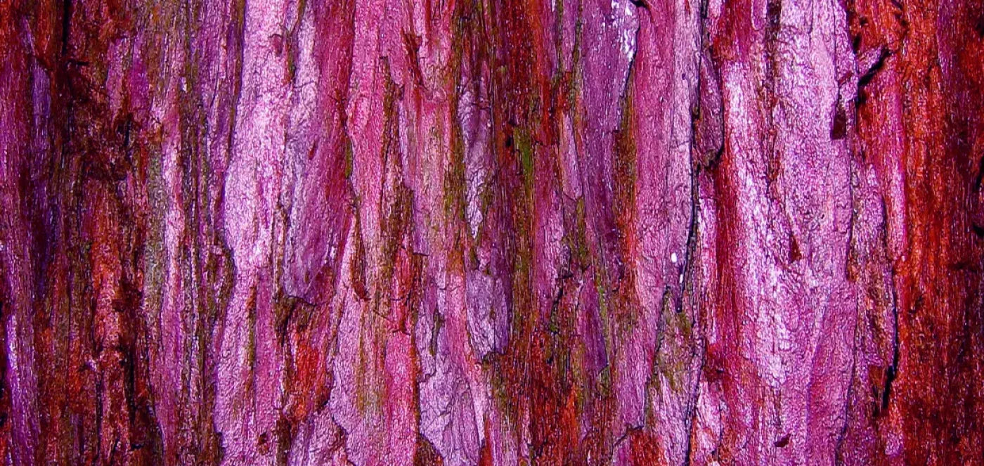 Membraine 16’X8’ Ultracloth (192 X 96 Inch) Backdrop