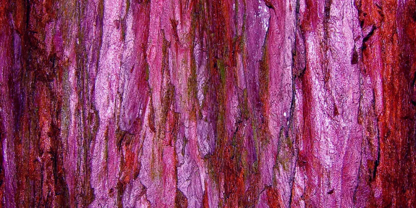 Membraine 20’X10’ Ultracloth (240 X 120 Inch) Backdrop