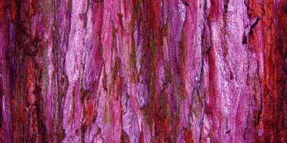 Membraine 20’X10’ Ultracloth (240 X 120 Inch) Backdrop