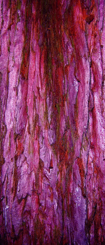 Membraine 5’X12’ Ultracloth For Westcott X-Drop (60 X 144 Inch) Backdrop