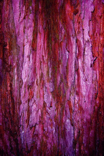 Membraine 5’X8’ Ultracloth (60 X 96 Inch) Backdrop
