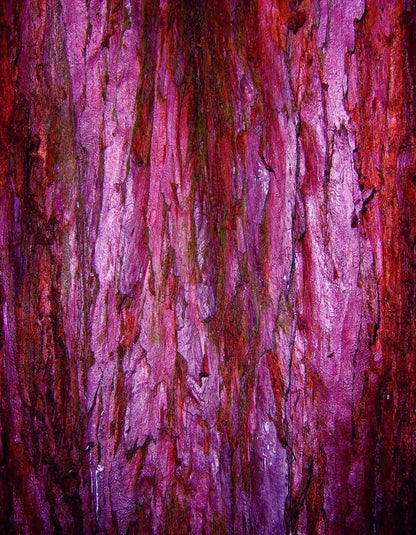 Membraine 6’X8’ Fleece (72 X 96 Inch) Backdrop