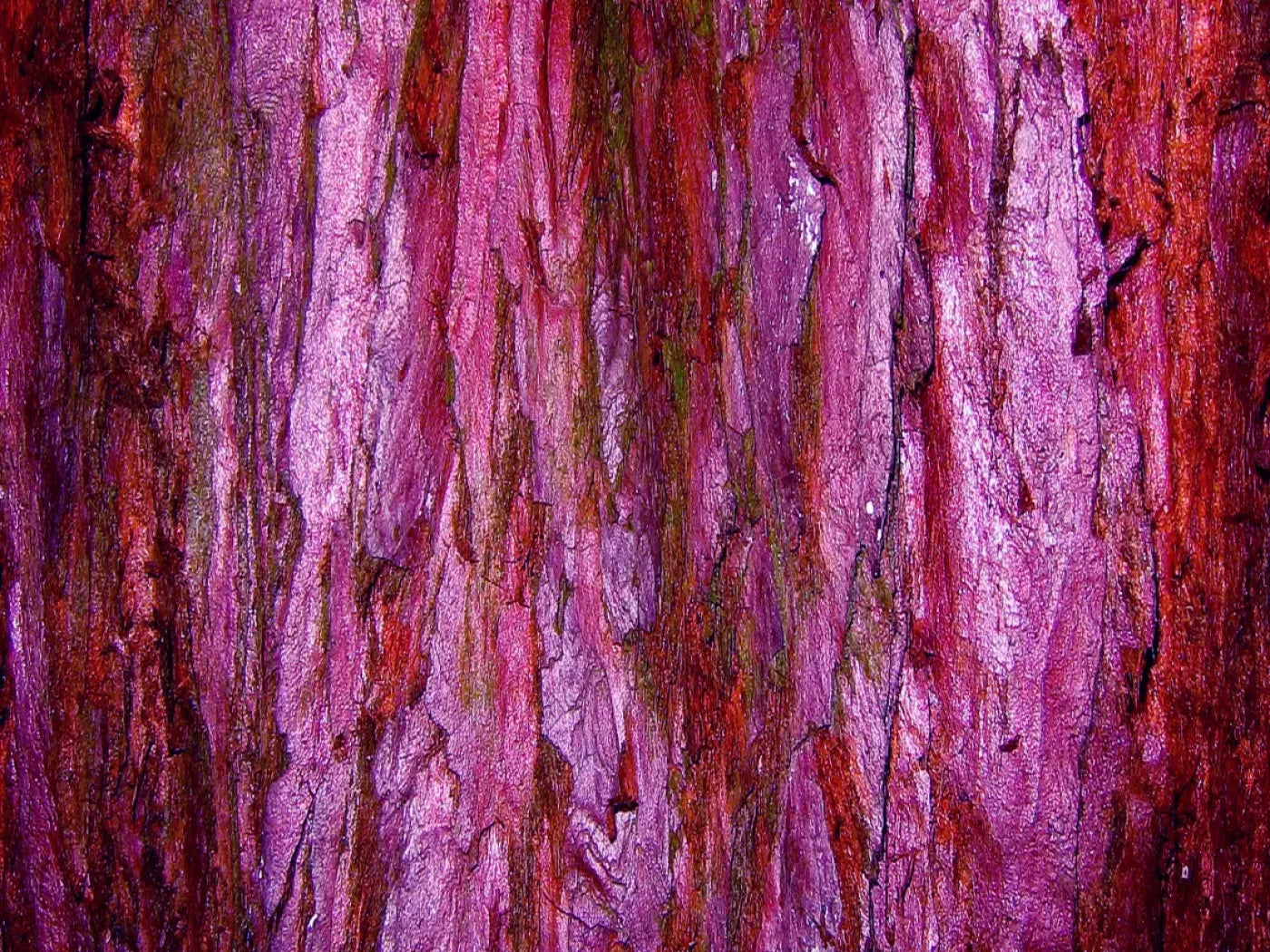 Membraine 7’X5’ Ultracloth (84 X 60 Inch) Backdrop