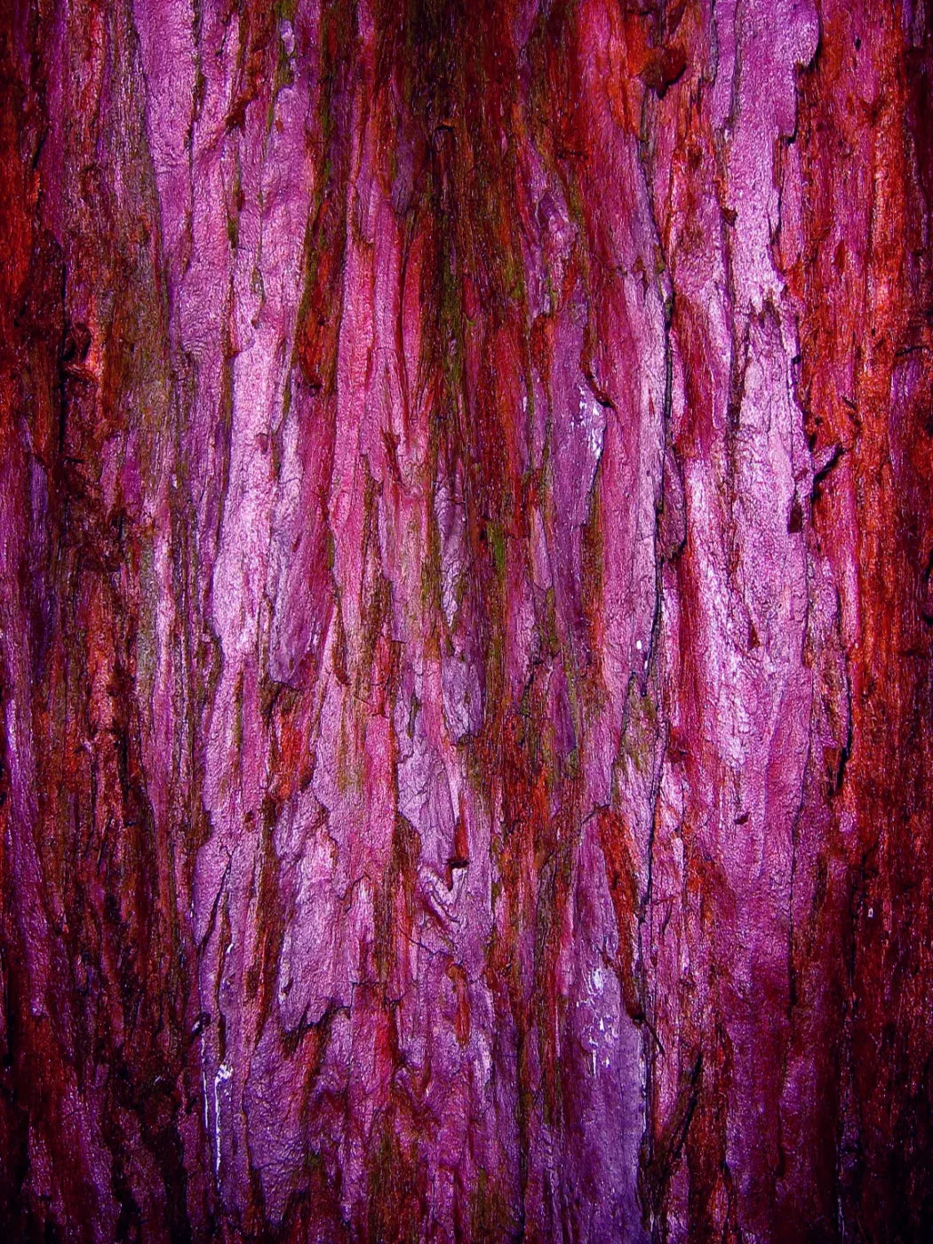 Membraine 8’X10’ Fleece (96 X 120 Inch) Backdrop