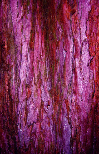 Membraine 8’X12’ Ultracloth (96 X 144 Inch) Backdrop