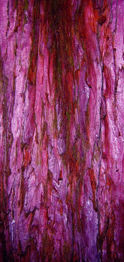 Membraine 8’X16’ Ultracloth (96 X 192 Inch) Backdrop