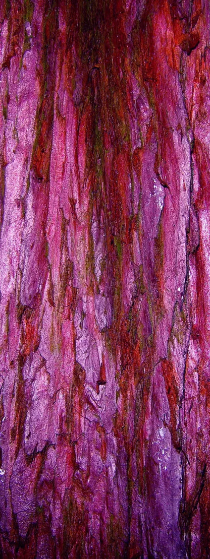 Membraine 8’X20’ Ultracloth (96 X 240 Inch) Backdrop
