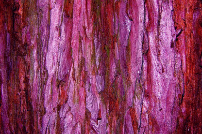 Membraine 8’X5’ Ultracloth (96 X 60 Inch) Backdrop