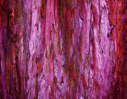 Membraine 8’X6’ Fleece (96 X 72 Inch) Backdrop