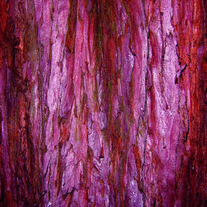 Membraine 8’X8’ Fleece (96 X Inch) Backdrop