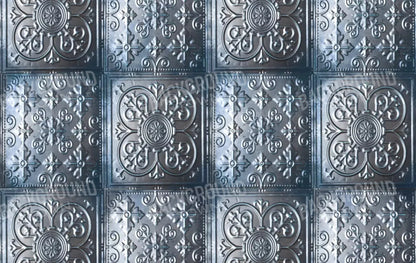 Metallic 16X10 Ultracloth ( 192 X 120 Inch ) Backdrop