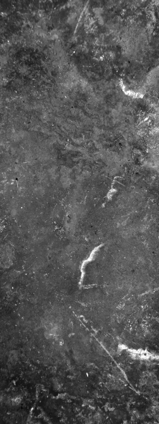 Midnight Copper 8X20 Ultracloth ( 96 X 240 Inch ) Backdrop