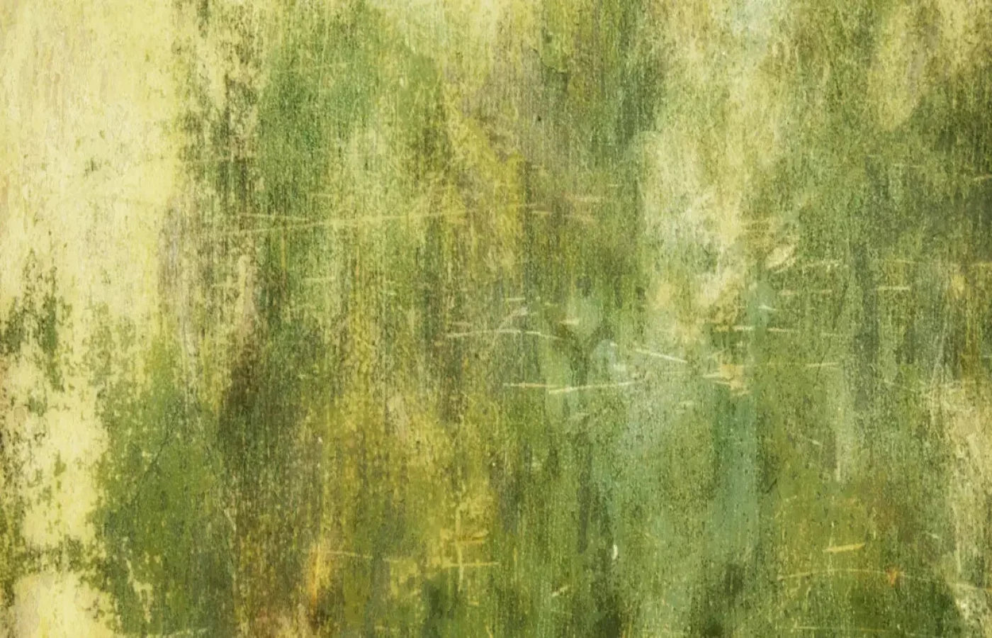 Midori 12X8 Ultracloth ( 144 X 96 Inch ) Backdrop