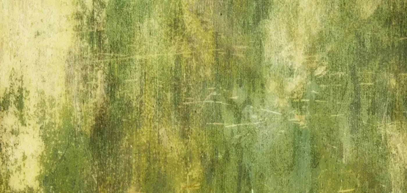 Midori 16X8 Ultracloth ( 192 X 96 Inch ) Backdrop