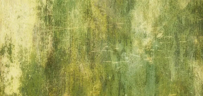 Midori 16X8 Ultracloth ( 192 X 96 Inch ) Backdrop