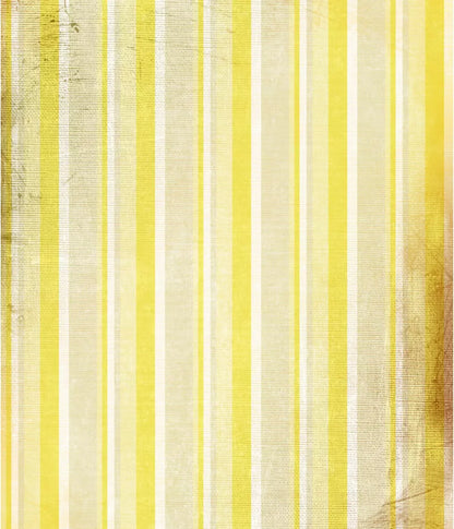 Mikado 10X12 Ultracloth ( 120 X 144 Inch ) Backdrop