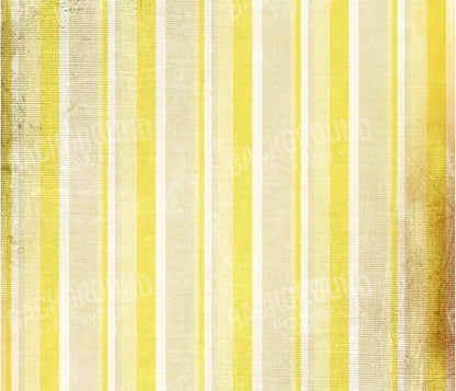 Mikado 12X10 Ultracloth ( 144 X 120 Inch ) Backdrop