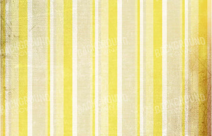 Mikado 12X8 Ultracloth ( 144 X 96 Inch ) Backdrop