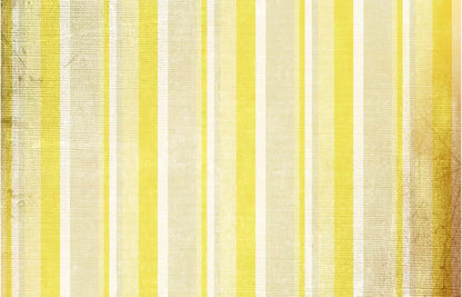Mikado 12X8 Ultracloth ( 144 X 96 Inch ) Backdrop