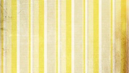 Mikado 14X8 Ultracloth ( 168 X 96 Inch ) Backdrop