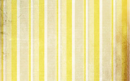 Mikado 14X9 Ultracloth ( 168 X 108 Inch ) Backdrop