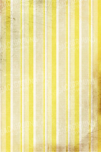 Mikado 5X8 Ultracloth ( 60 X 96 Inch ) Backdrop