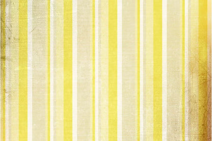 Mikado 8X5 Ultracloth ( 96 X 60 Inch ) Backdrop