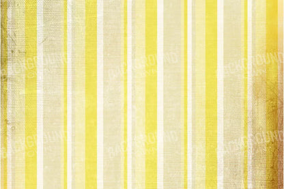 Mikado 8X5 Ultracloth ( 96 X 60 Inch ) Backdrop