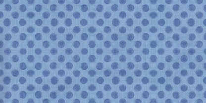 Mikey 20’X10’ Ultracloth (240 X 120 Inch) Backdrop