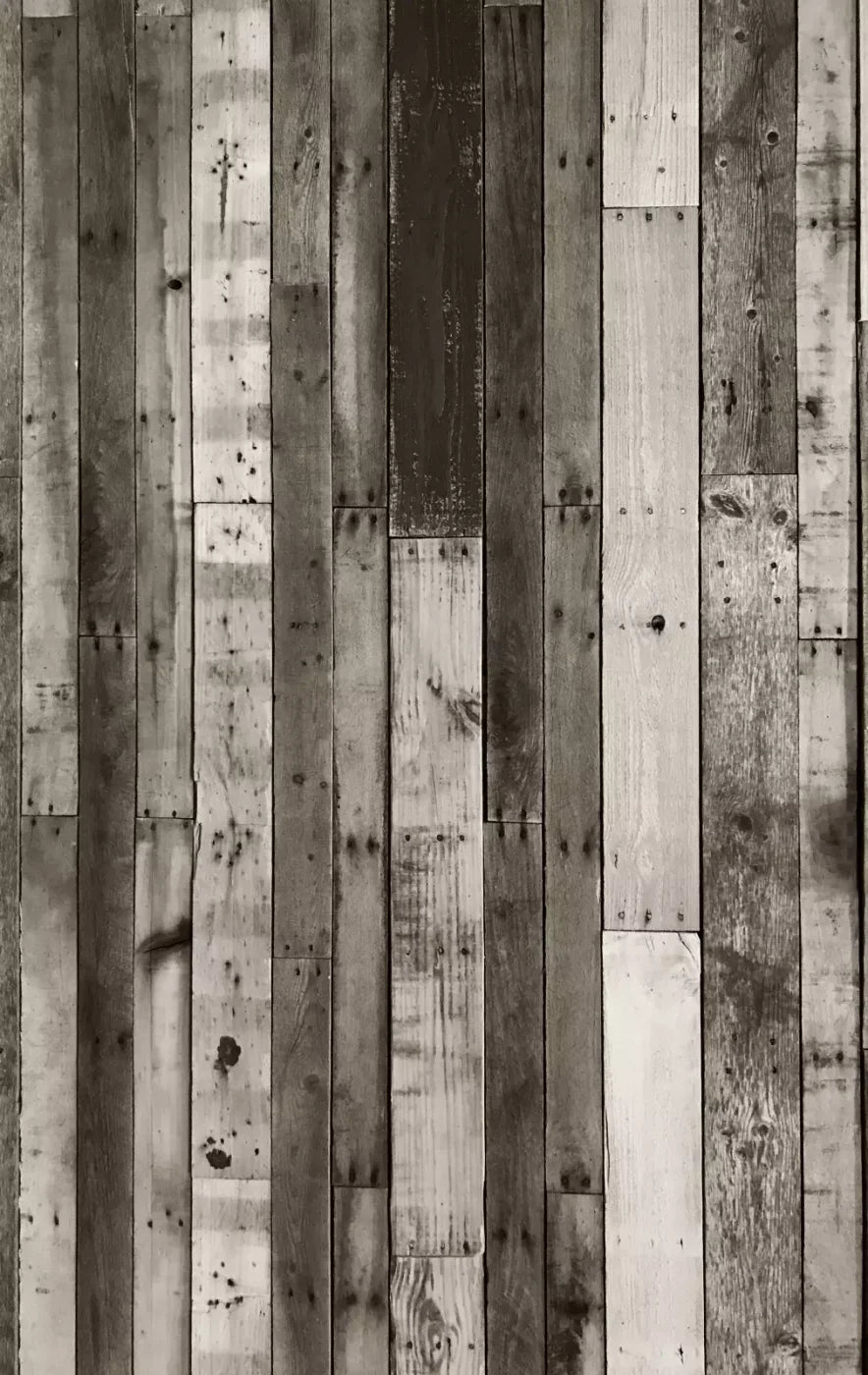 Minnesota 10X16 Ultracloth ( 120 X 192 Inch ) Backdrop