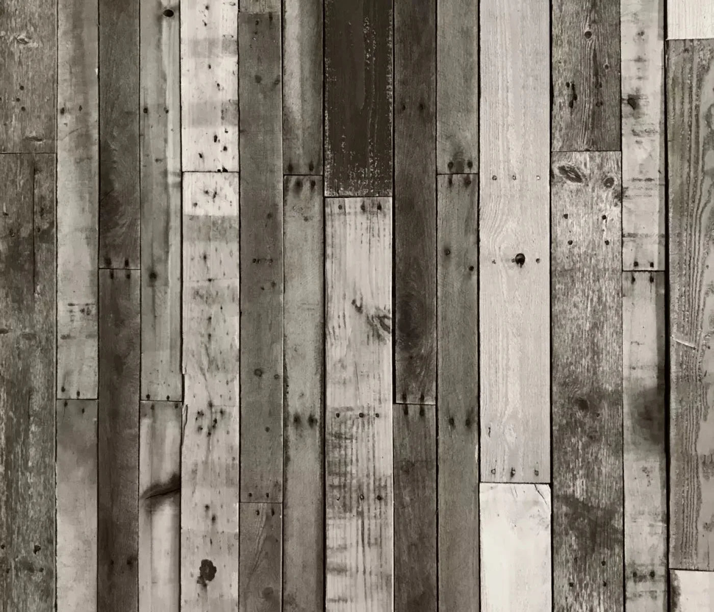 Minnesota 12X10 Ultracloth ( 144 X 120 Inch ) Backdrop